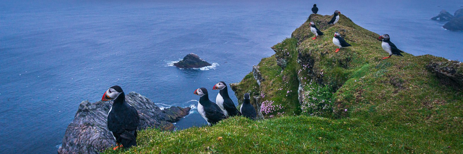 Shetland, voyage photo