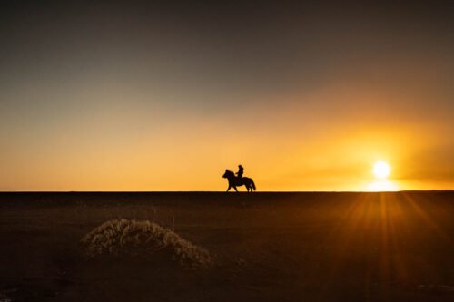 Equitation, Islande