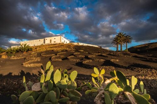 Ferme, Lanzarote