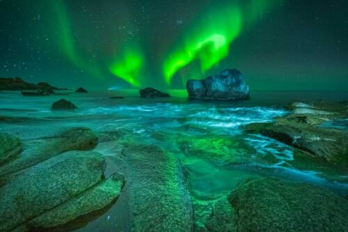 Aurore boréale, Lofoten