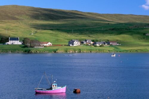 Bateau rose, Shetland