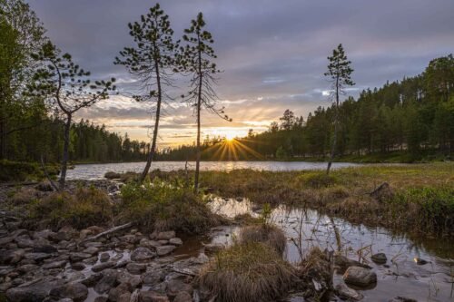 Taiga, Finlande