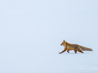 varanger-2025-5.jpg