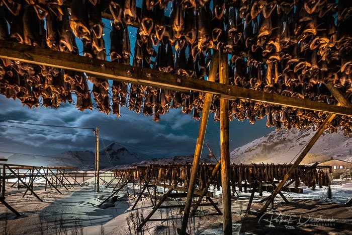Séchoir à poissons, de nuit, Lofoten