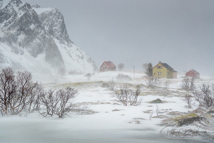Lofoten, tempête de neige