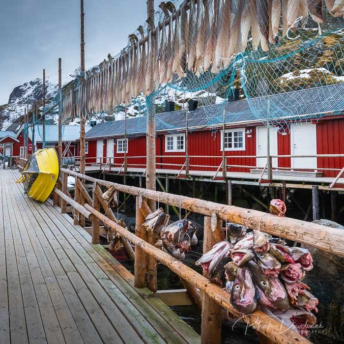 Nusfjord, Lofoten